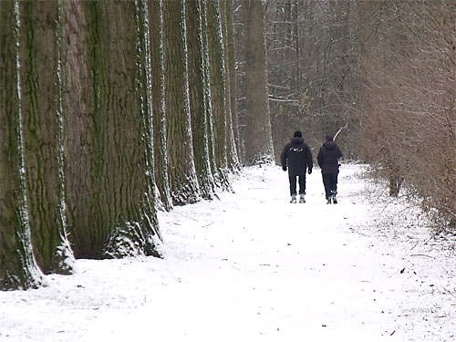 Spaziergänge im Wurmtal