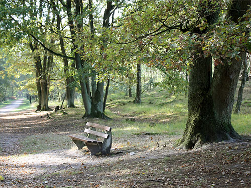 Teverener Heide