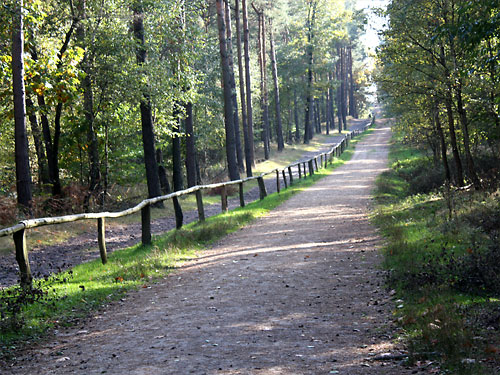 Teverener Heide