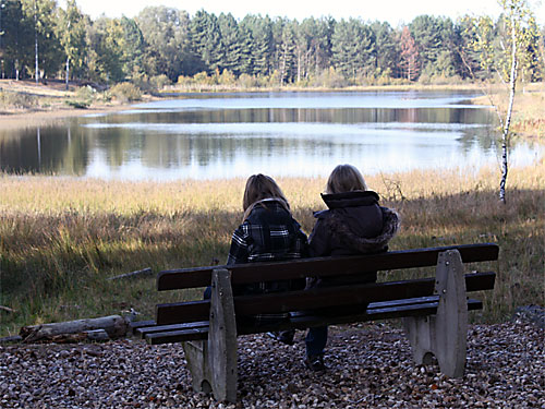 Aussichtspunkt Teverener Heide