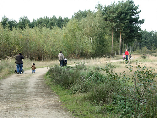Teverener Heide