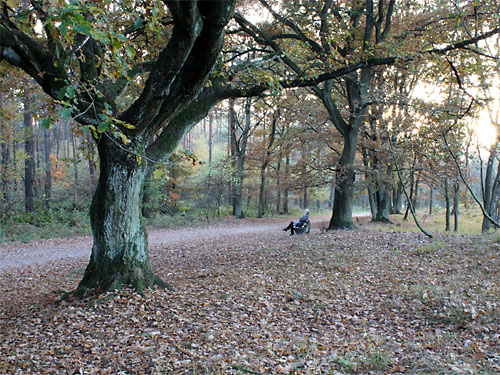 Teverener Heide