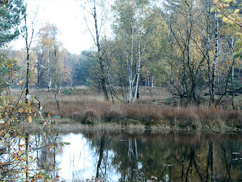 Teverener Heide