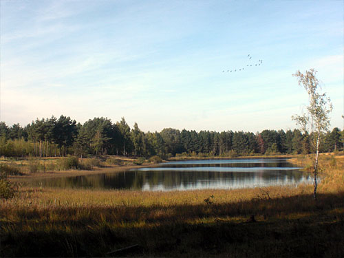 Teverener Heide