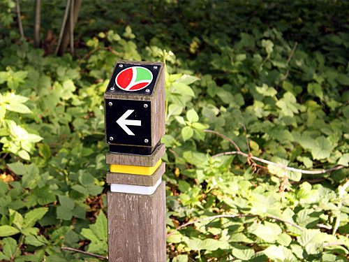 Wanderweg Teverener Heide