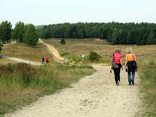 Teverener Heide