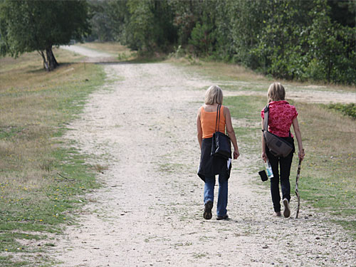 Teverener Heide