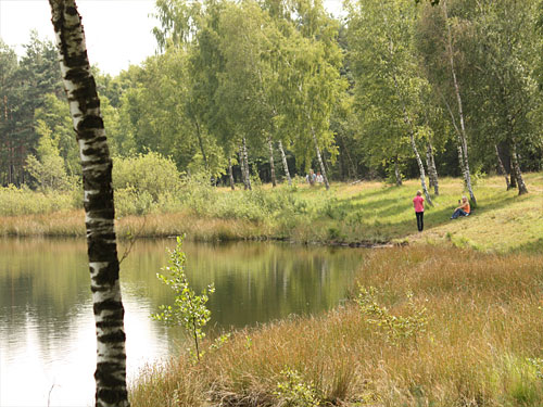 Teverener Heide