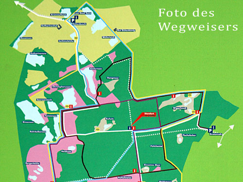 Teverener Heide
