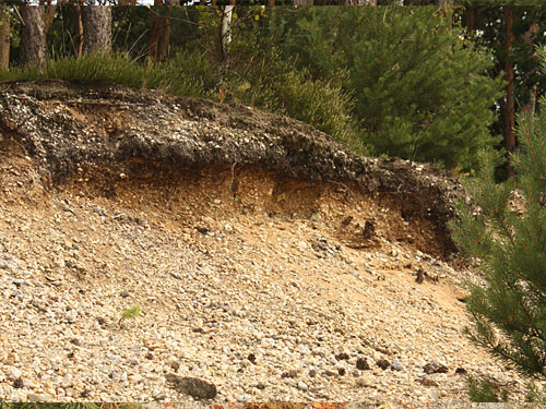 Teverener Heide