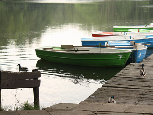Weiher Tüschenbroicher Mühle