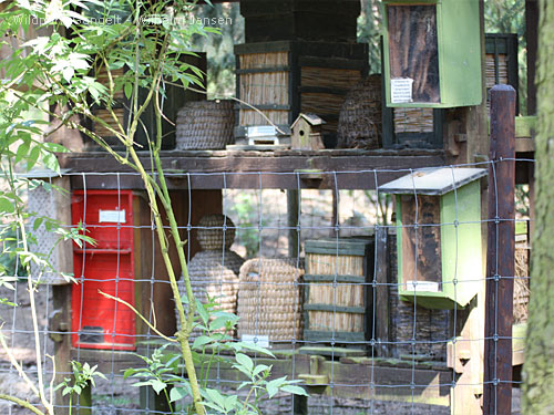 Imkerei Wildpark Gangelt