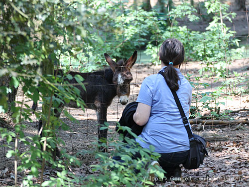 Wildpark Gangelt