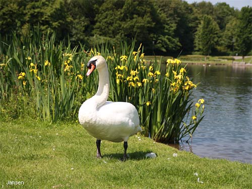 Wurmauenpark Geilenkirchen