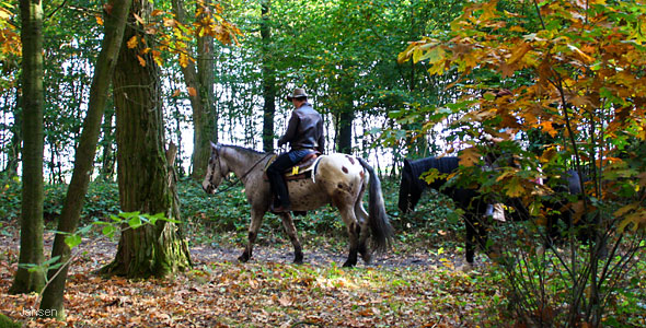 Teverener Heide