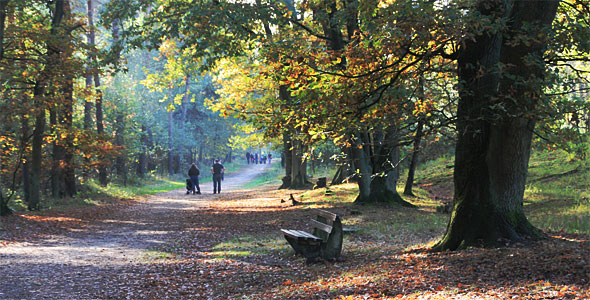 Teverener Heide