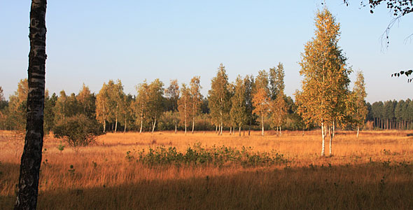 Teverener Heide für Naturfotografen