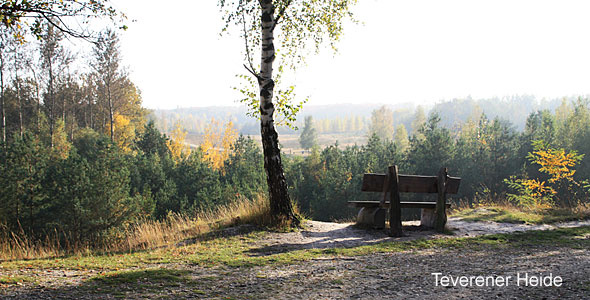 Teverener Heide
