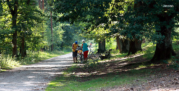 Wegweiserpfosten Teverener Heide