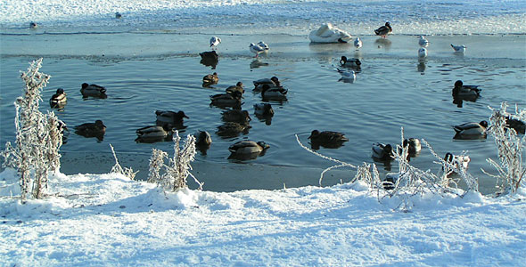 Wurmauenpark Geilenkirchen