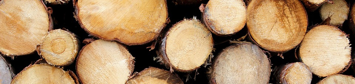 Rennmaus Holzwerkstoffe Bauanleitungen Terrarium