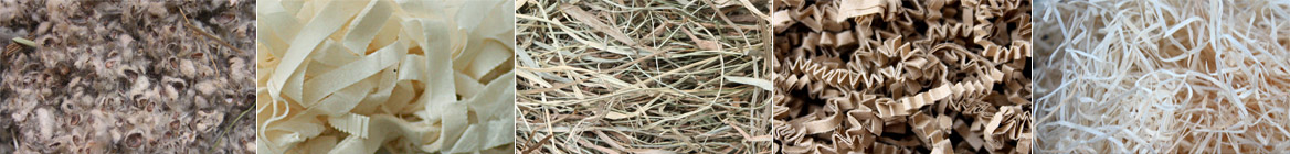 Rennmaus Einstreu Übersicht der Materialien