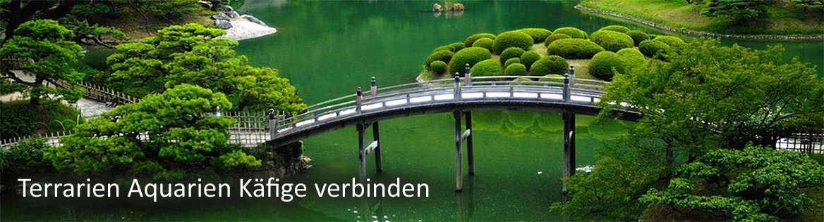 Rennmaus Terrarien Aquarien Käfige verbinden