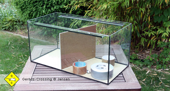 Rennmaus Terrarium Trenngitter