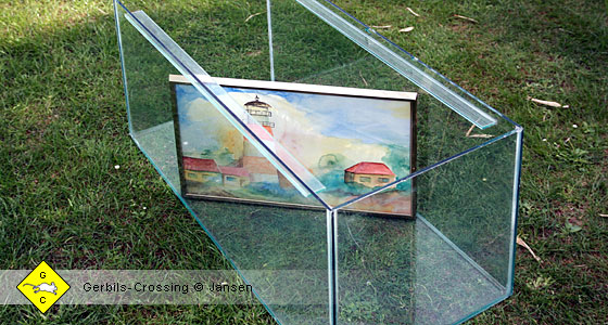 Rennmaus Terrarium Trenngitter behelfsmäßig