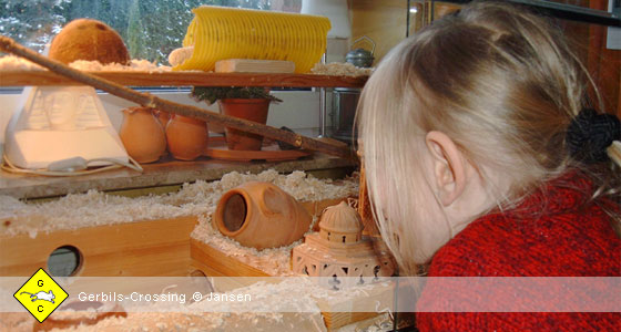 Kinder und Rennmäuse