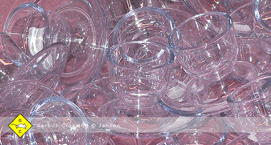 Bastelanleitung Eierbecher als Trinknapf für die Rennmaus Trinkwasser