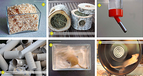 Terrarium einrichten