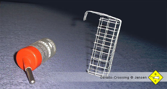 Rennmaus Trinkwasser Wasserflasche