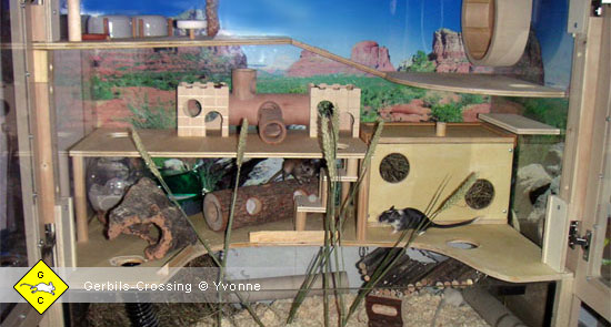 Rennmaus Mäusetreppe aus Brettchen + Rundholz