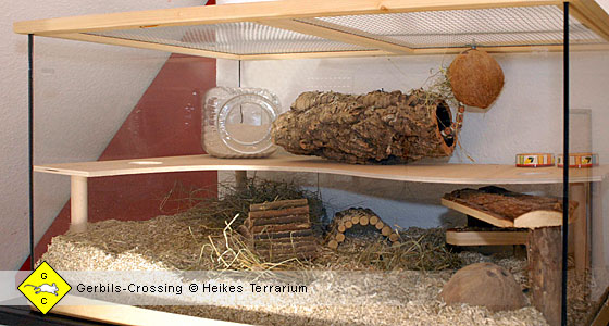 Zweite Ebene für das Rennmausterrarium