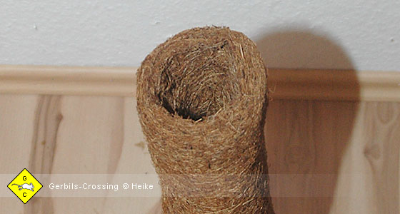 Rennmaus Mäusetreppe Kokosröhre