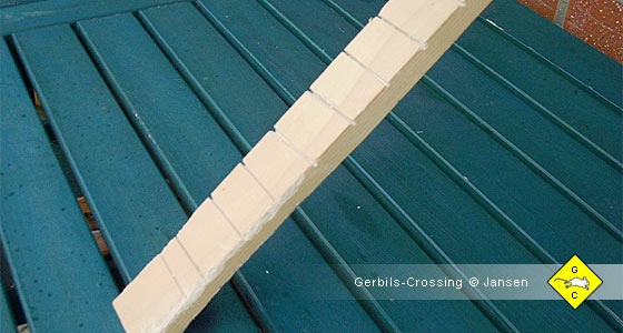 Rennmaus Treppe Holzleiste
