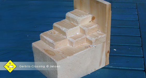 Rennmaus Treppe Leiste Holzreste
