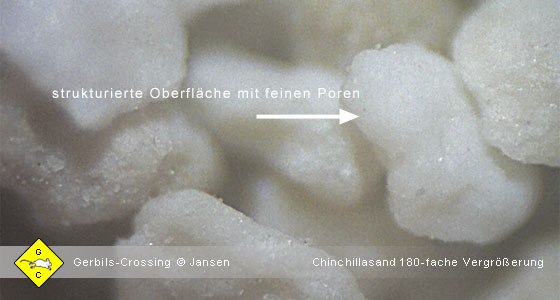 Rennmaus Chinchillasand 180-fache Vergrößerung