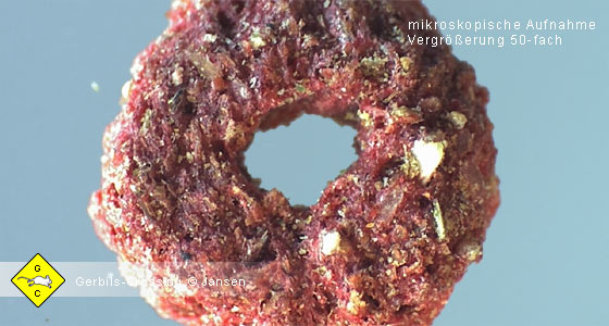 Rennmausfutter Extrudate