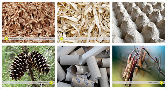 Nagematerial für Rennmäuse