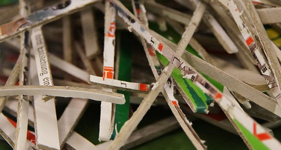 Rennmaus Beschäftigung gegen Langeweile