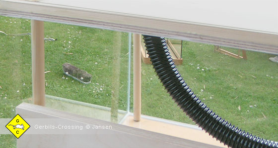 Rennmaus Treppe gerilltes Rohr
