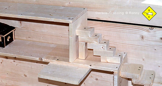 Rennmaus Mäusetreppe aus einem Ast