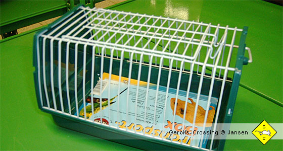 Rennmaus Transportbox Gitterbox