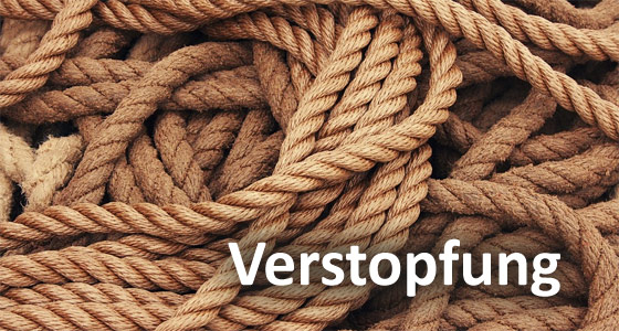Rennmaus Verstopfung