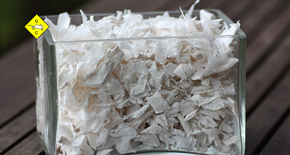 Rennmaus Papierflocken Einstreu
