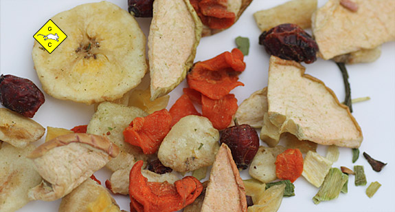 Rennmaus Chinchilla Fruchtsalat