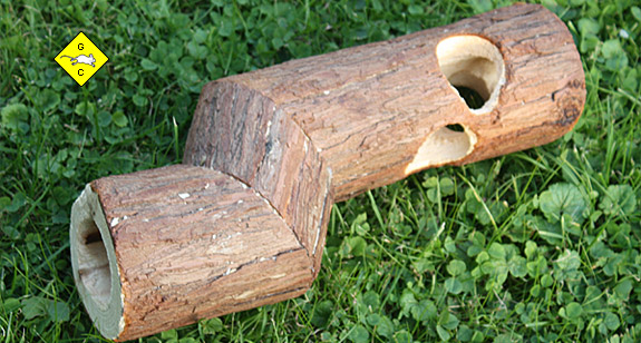 Rennmaus Holztunnel