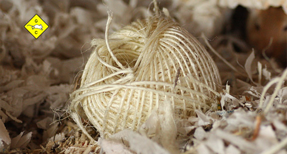 Rennmaus Paketschnur gegen Langeweile